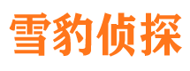 河池调查取证